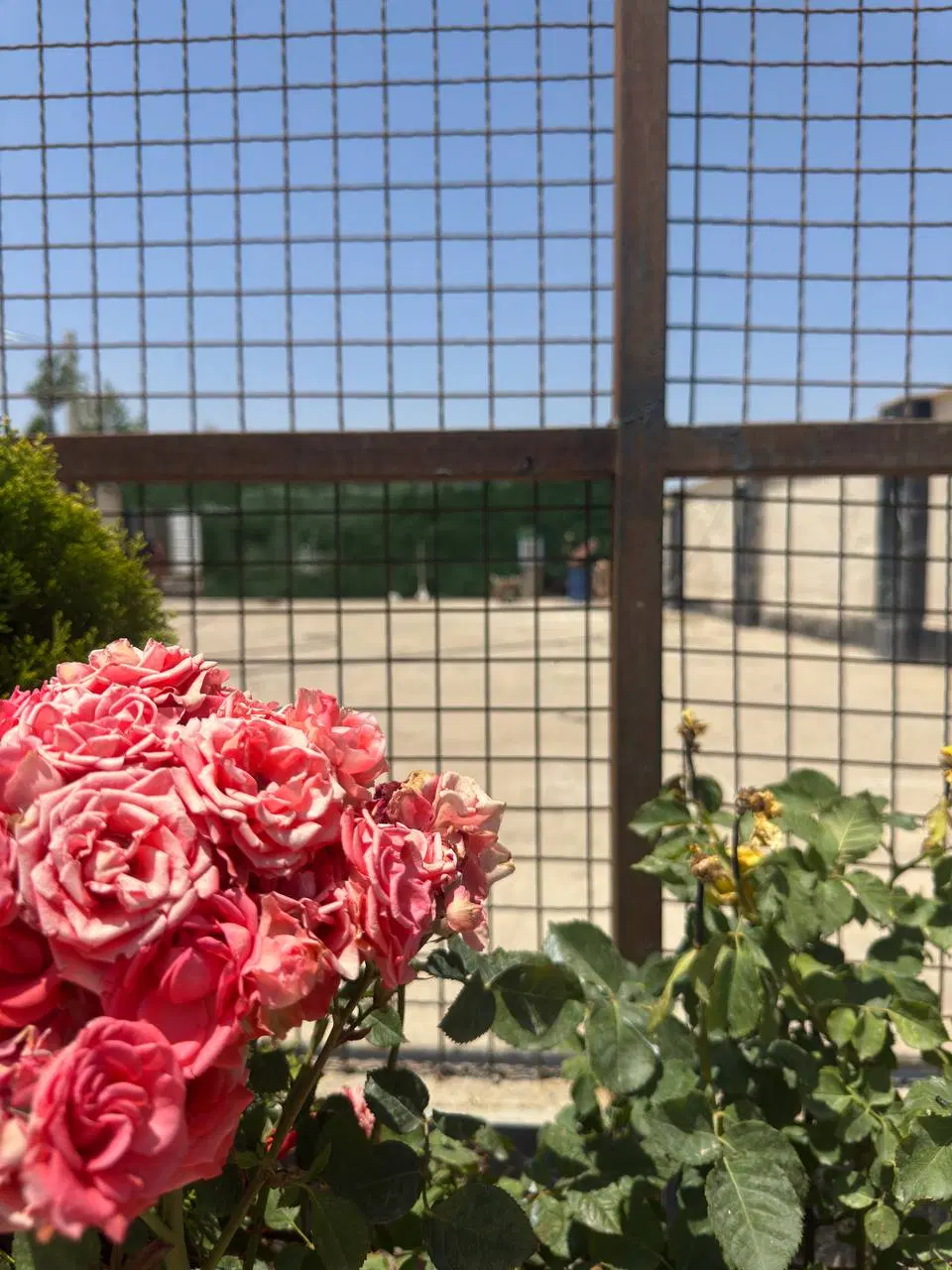 زمین شهرکی ویلایی ۲۷۰ متر مهرشهر چهارباغ