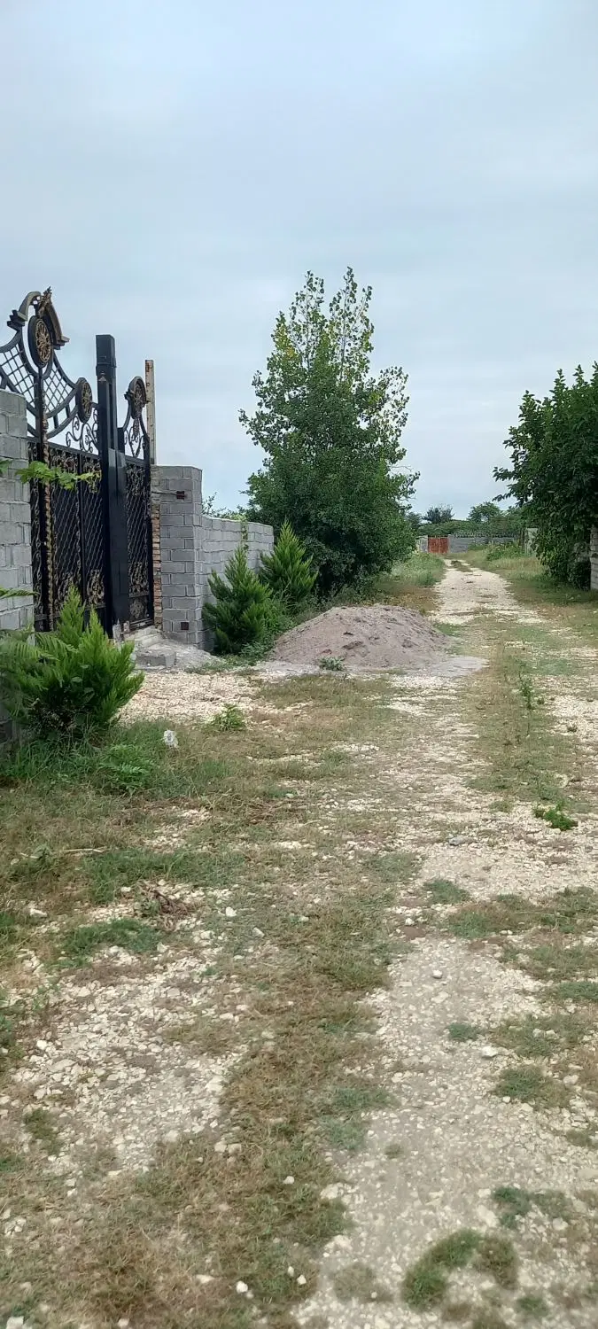 زمین درساری قراردارد