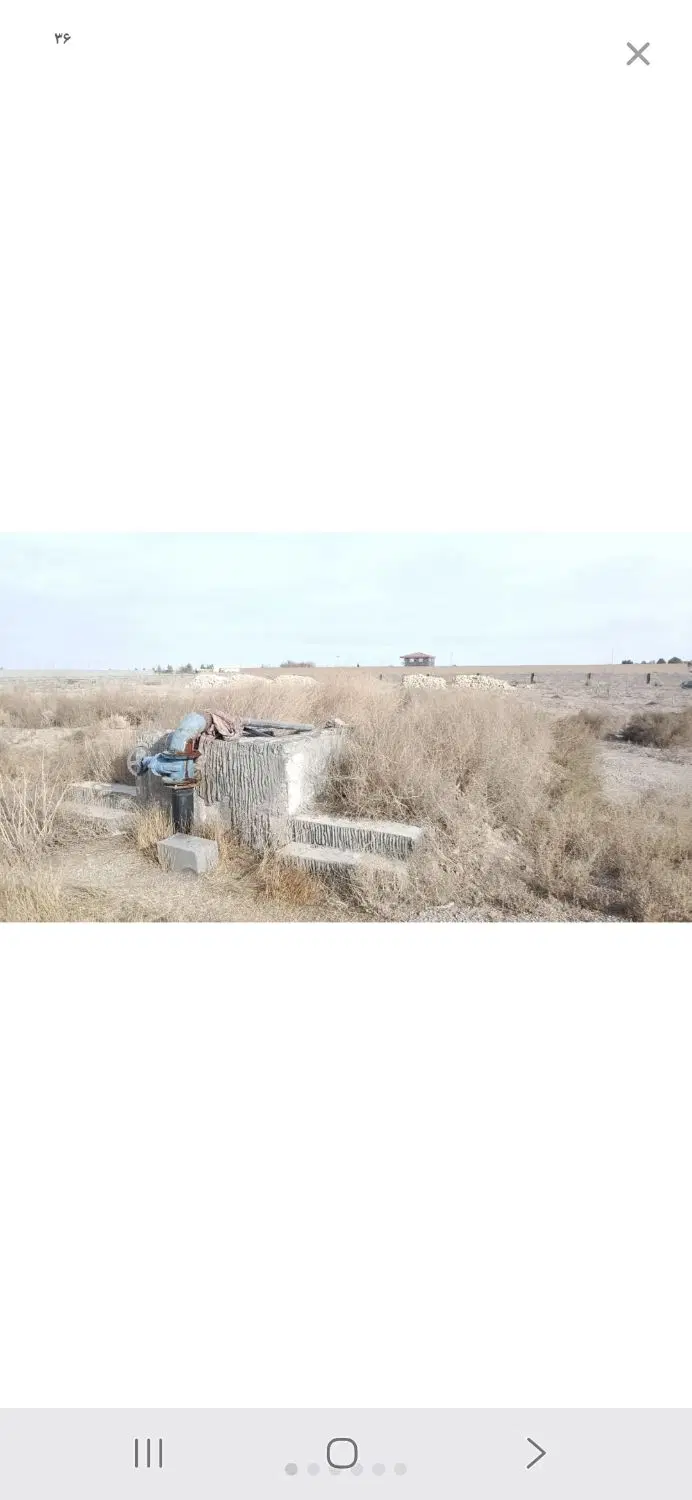 زمین باغی