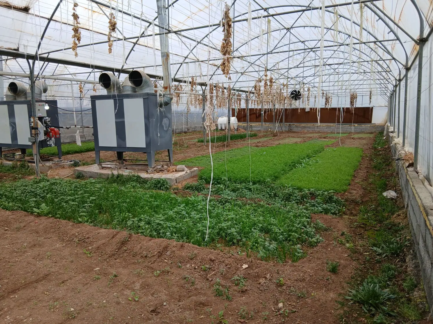 اجاره گلخانه