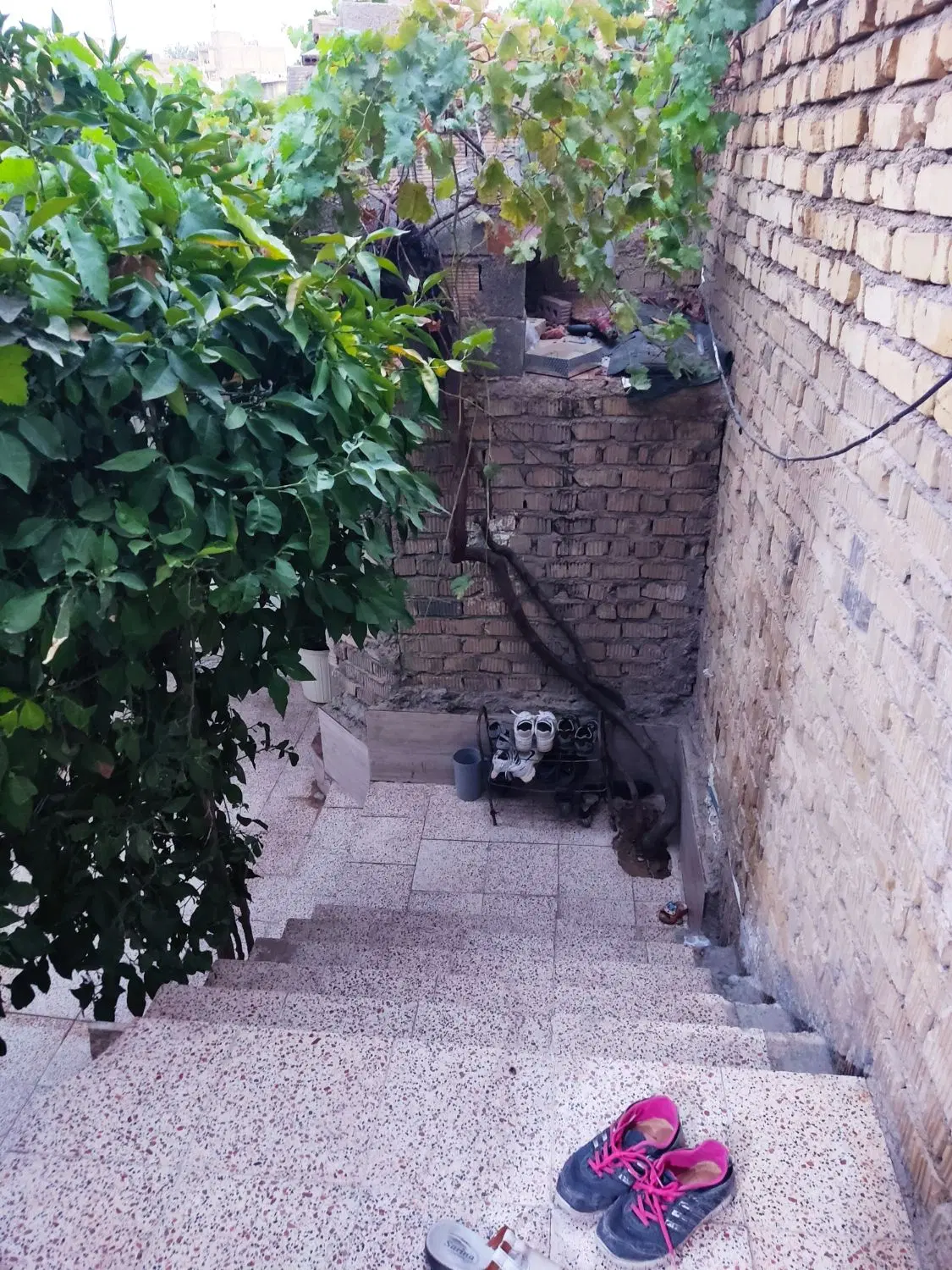 رهن‌واجاره خونه ویلایی سلطان آباد ۲خوابه