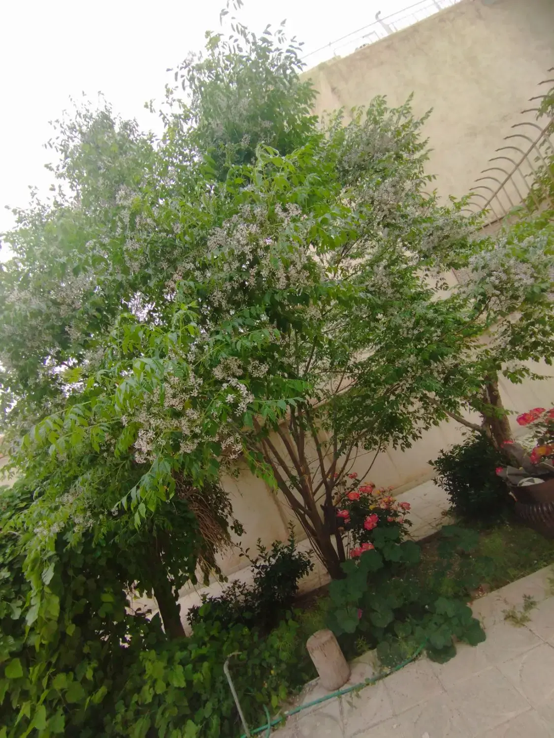 فروش منزل ویلایی