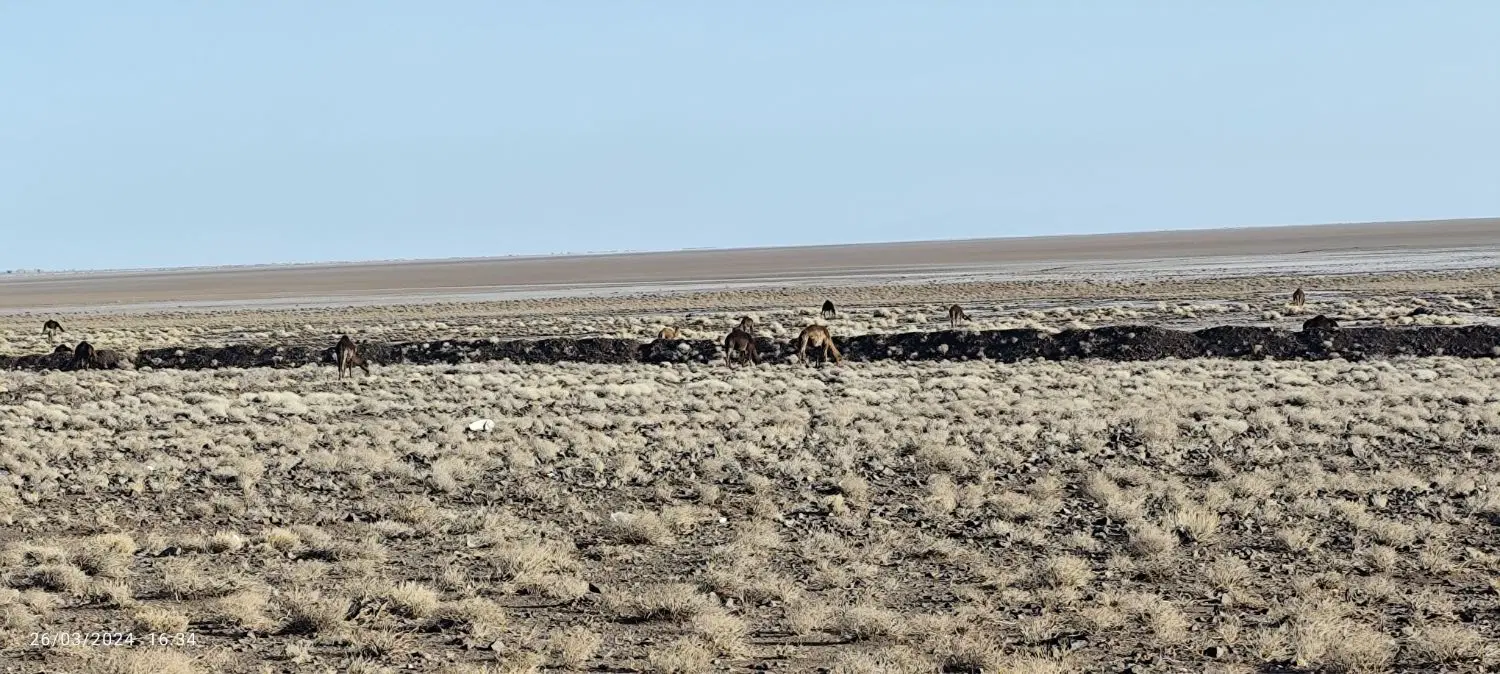 زمین صنعتی