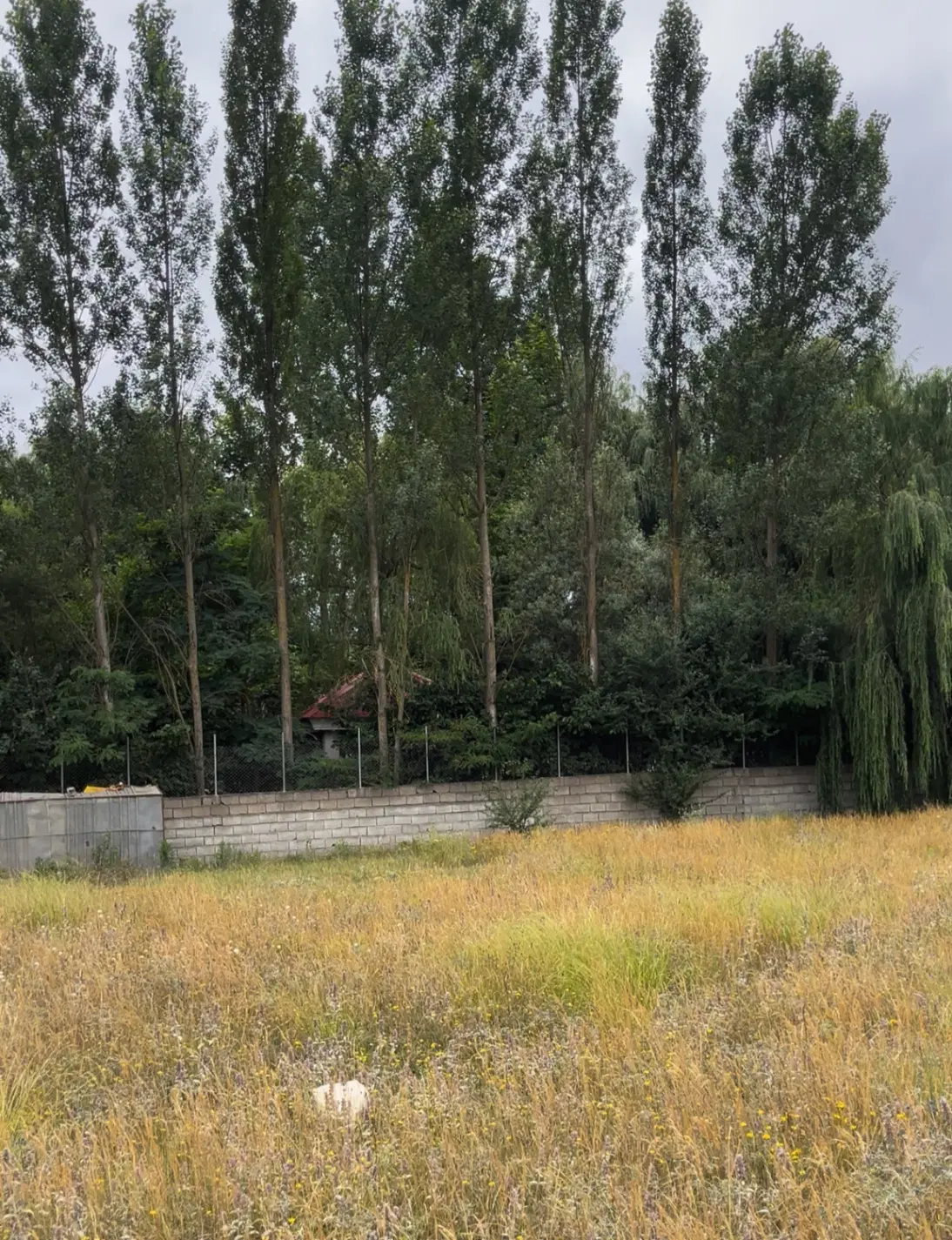 زمین 300 متری