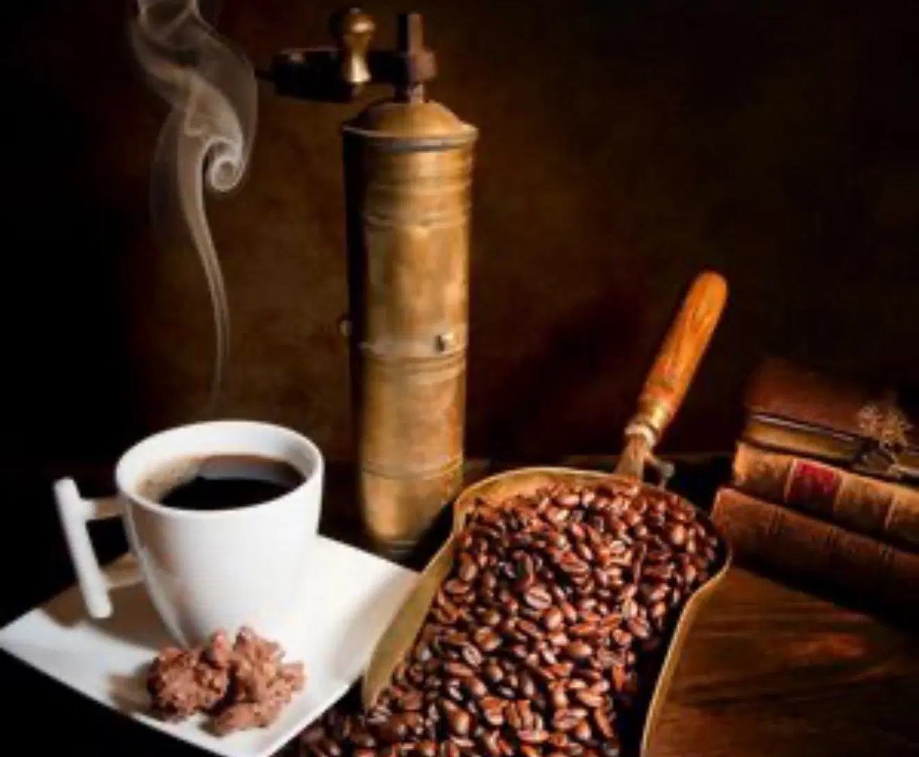 اجاره روف گاردن برای کافه