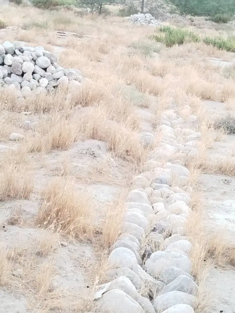 زمین۱۵۰۰مترپاتل ایسین.سندپلاک ۱معتبر