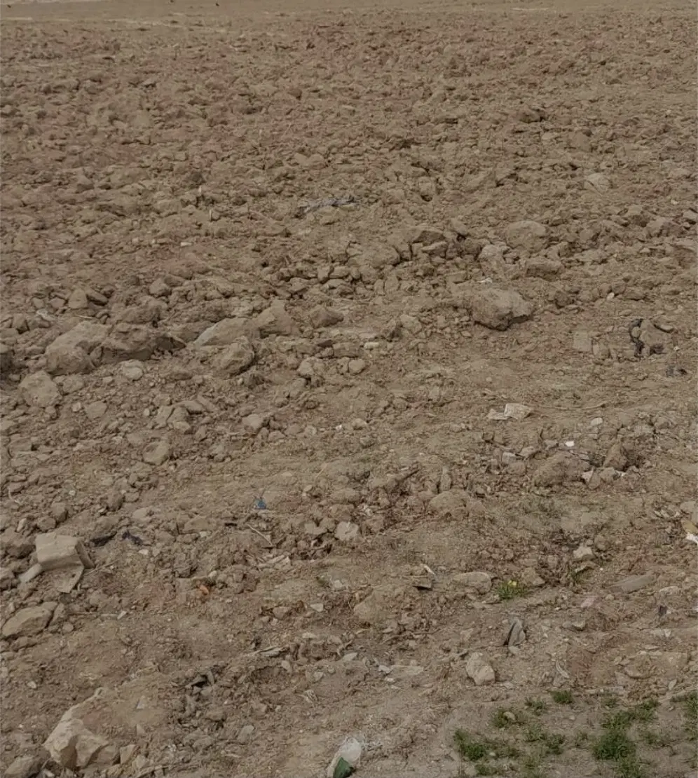 ۴۰۰۰متر زمین دیمی،روستای توتنده،