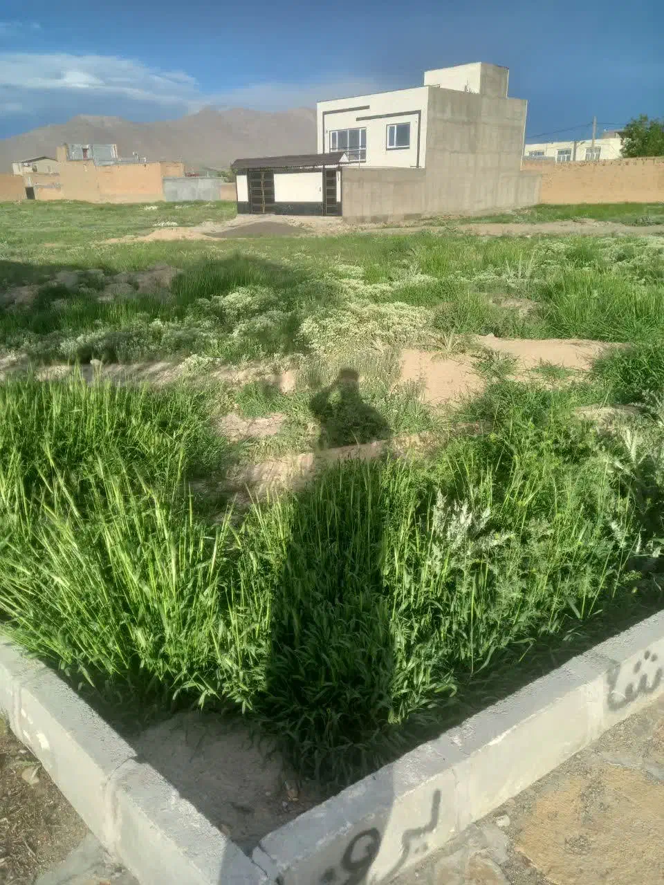یک قطعه زمین