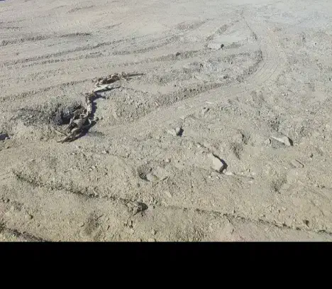 نهضت مسکن ملی شوسف