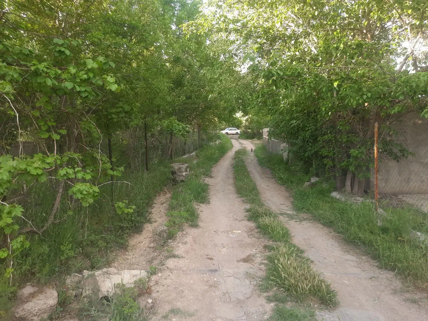 باغ چسب بافت زیاران