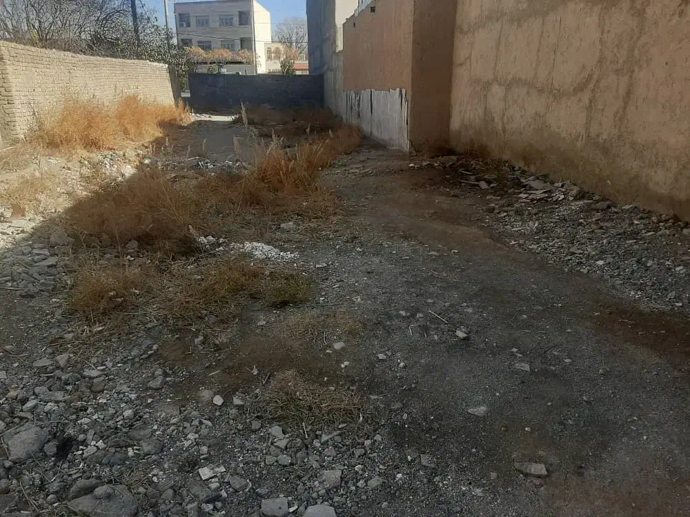 زمین وحیدیه