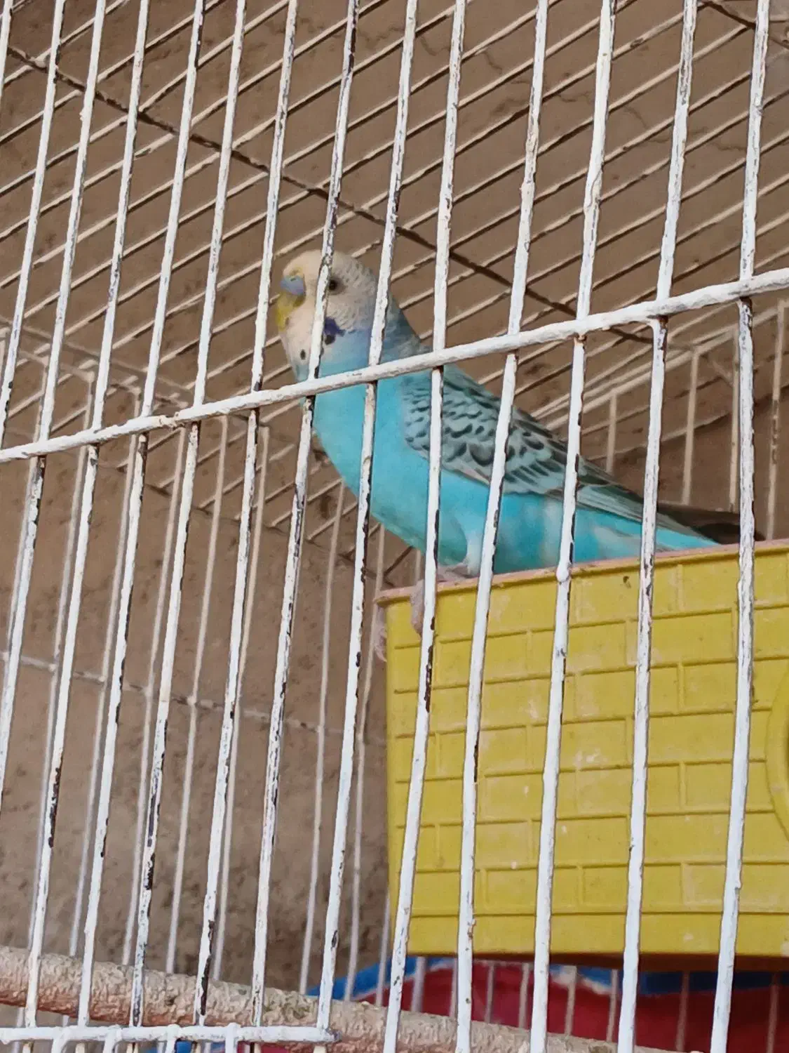 فروش خانه شناژی