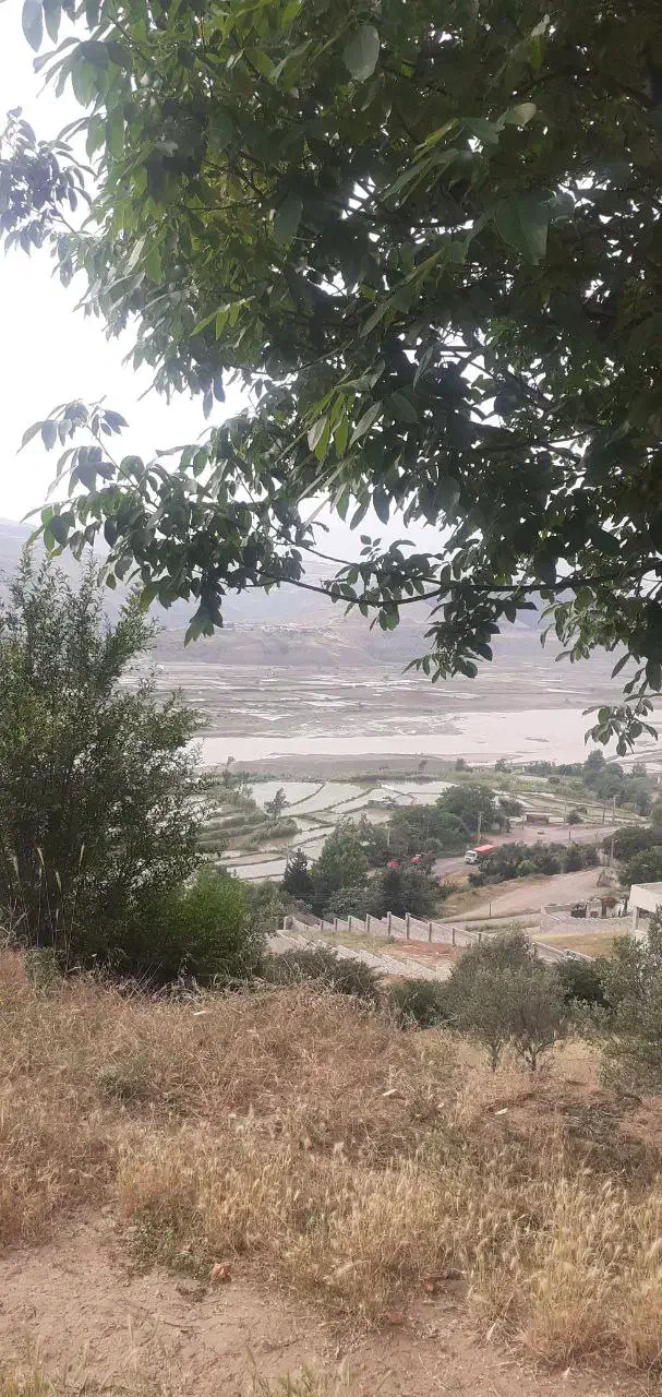 زمین ویلا و مغازه