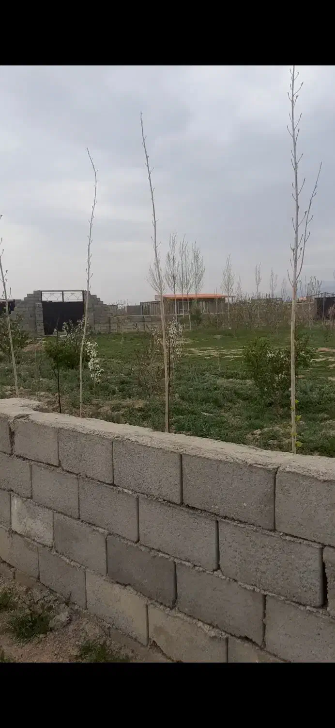 ّباغ به متراژ ۱۳۰۰ متر حصار کشی شده