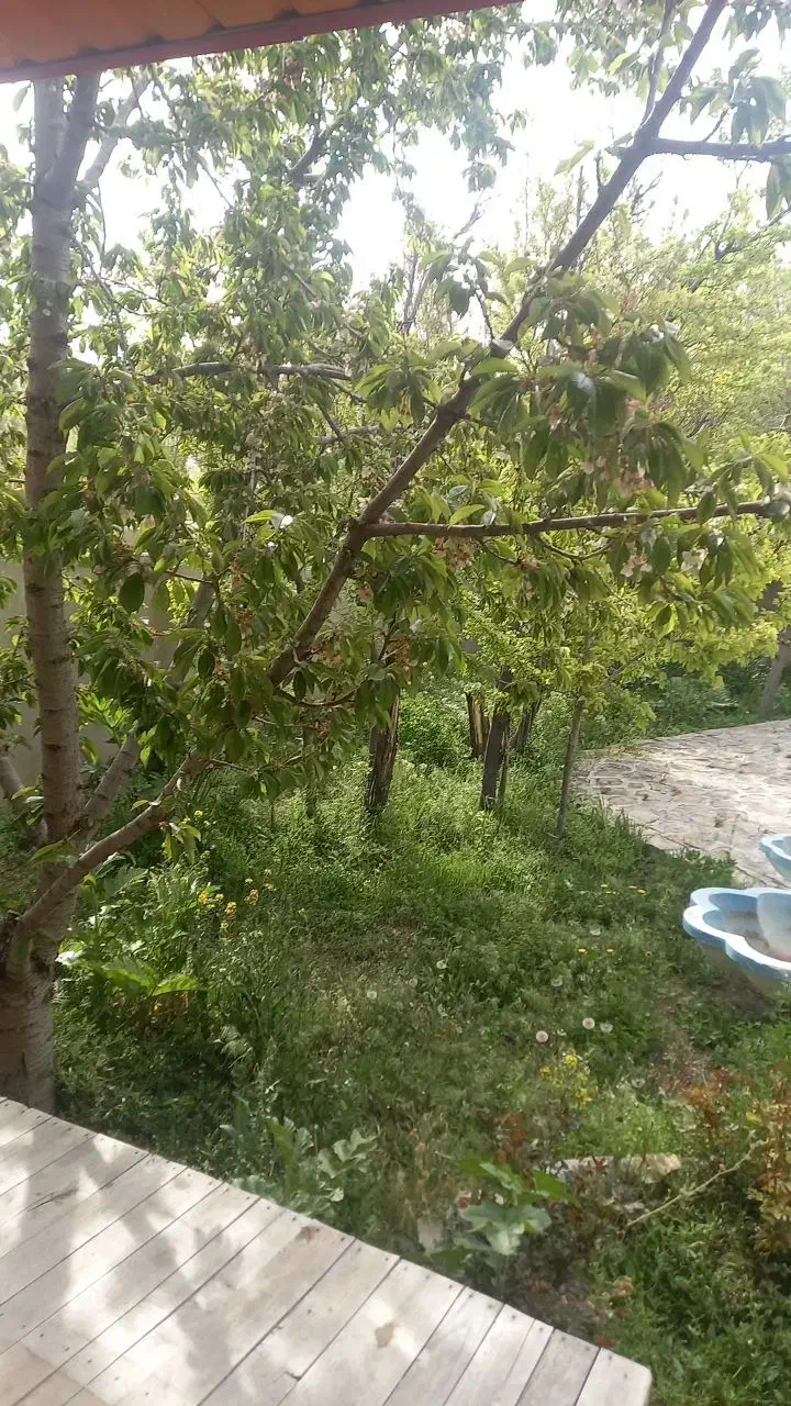 معاوضه ملک