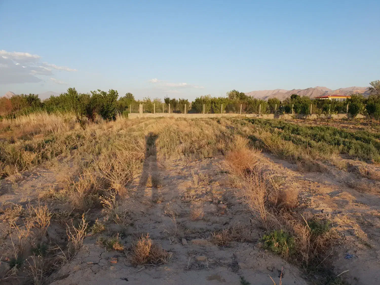 زمین کشاورزی ومناسب باغداری ۵۰۰متر درروستای مزور
