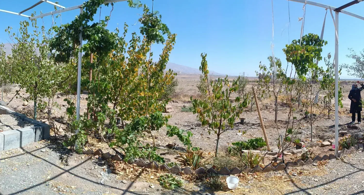 باغچه
