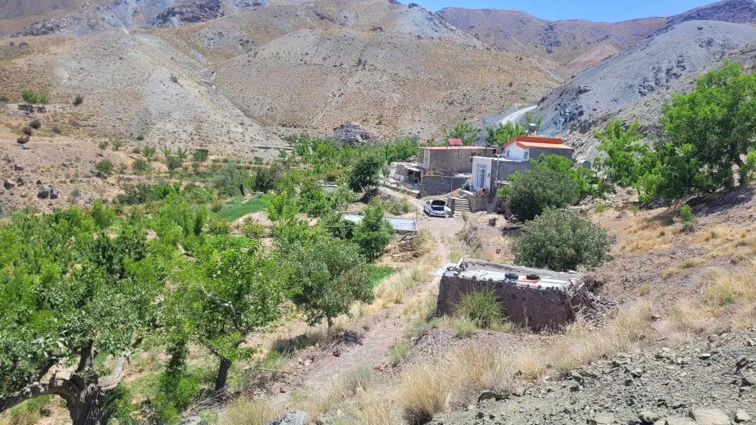 فروش زمین باغی ۵۰۰ واقع در ارتفاعات باقران