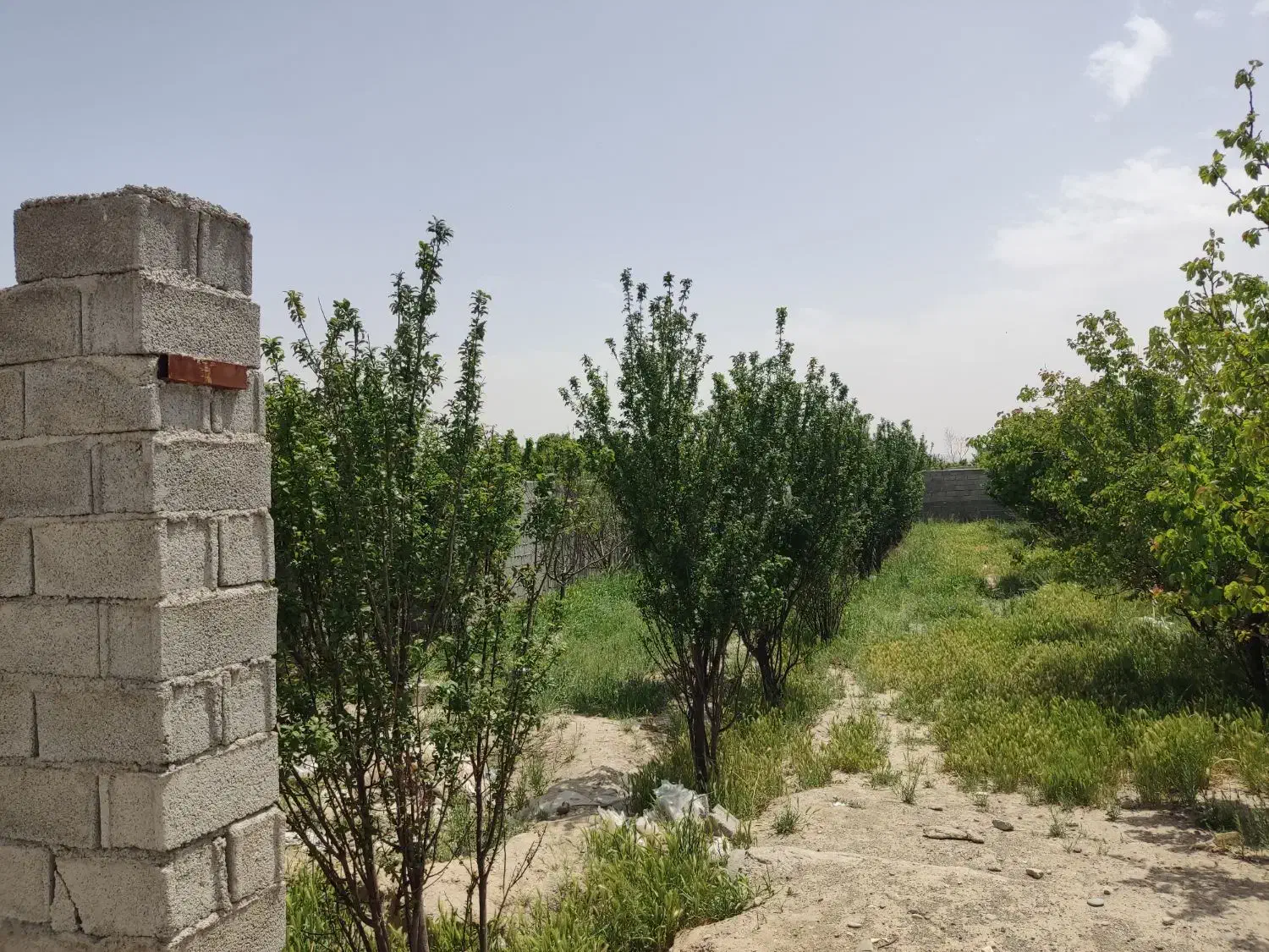 390متر باغچه سندار چهار دیوار سهمیه آب