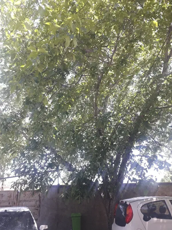 ۹۰مترتجاری شهرک مکانیکی