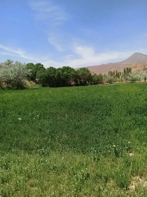 قطعه زمین ویلایی سعیدآباد (سیداوا)