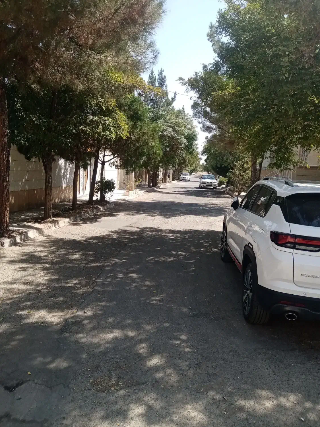 زمین شهرک ولیعصر سند شش دانگ