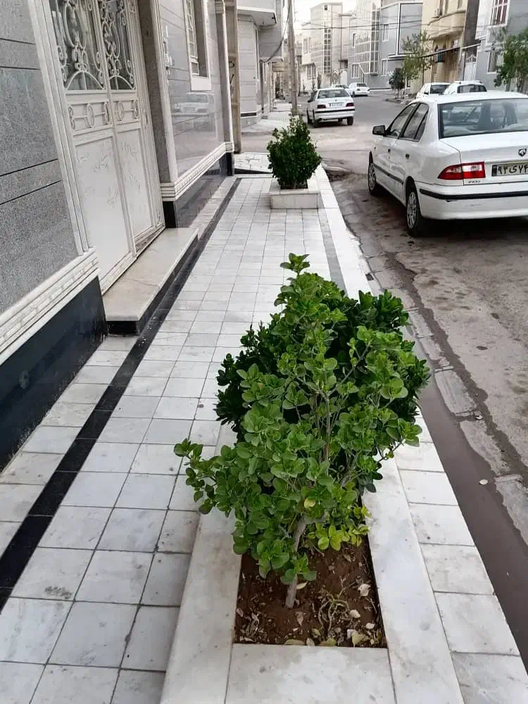 زمین سیادک واگذاری سپاه