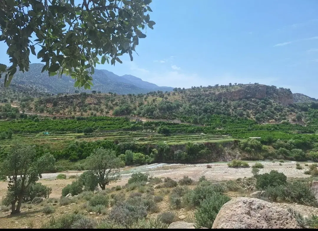قائم2 عالی