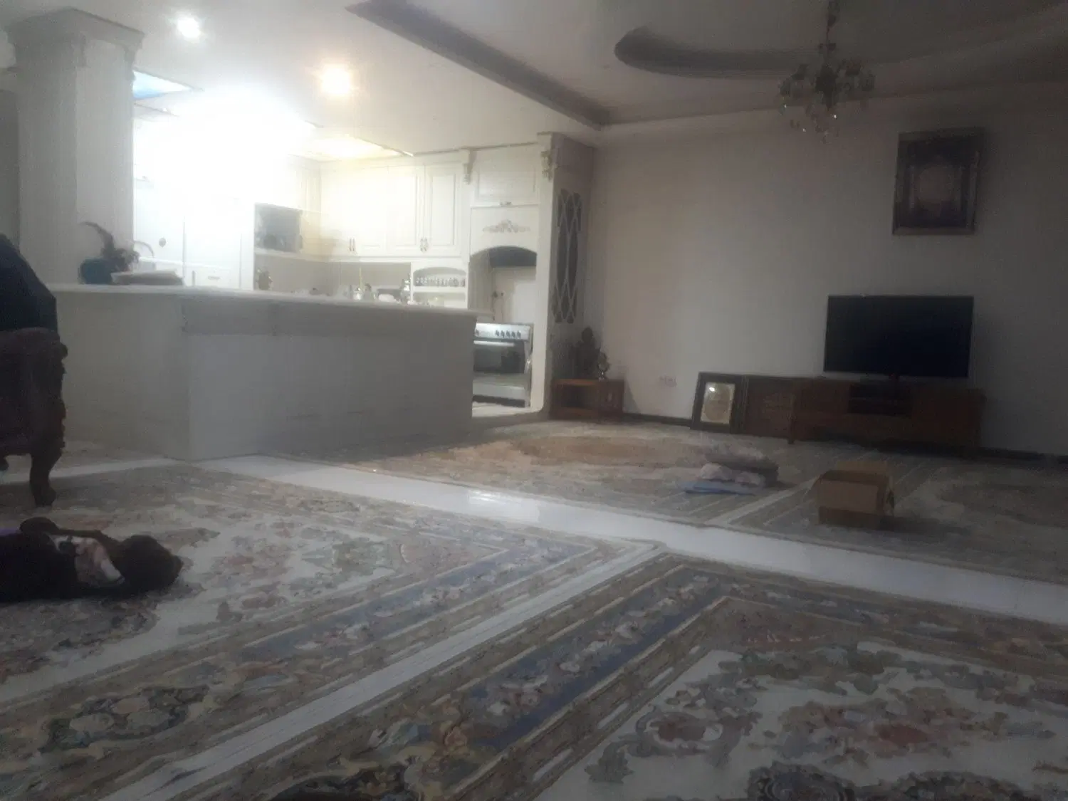 همخونه خانوم بی حاشیه و بدون کنجکاوی بودن