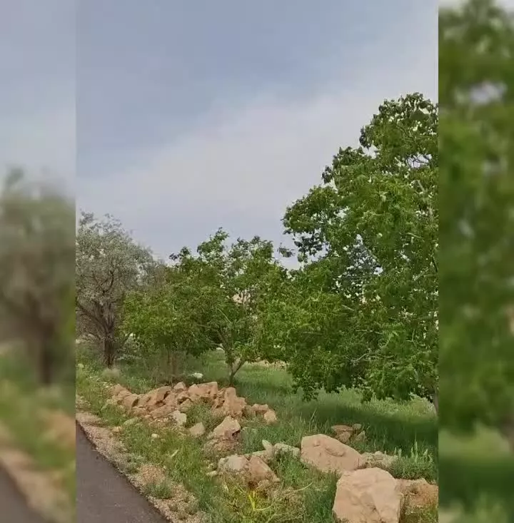 فروش باغ شیراز خان زنیان