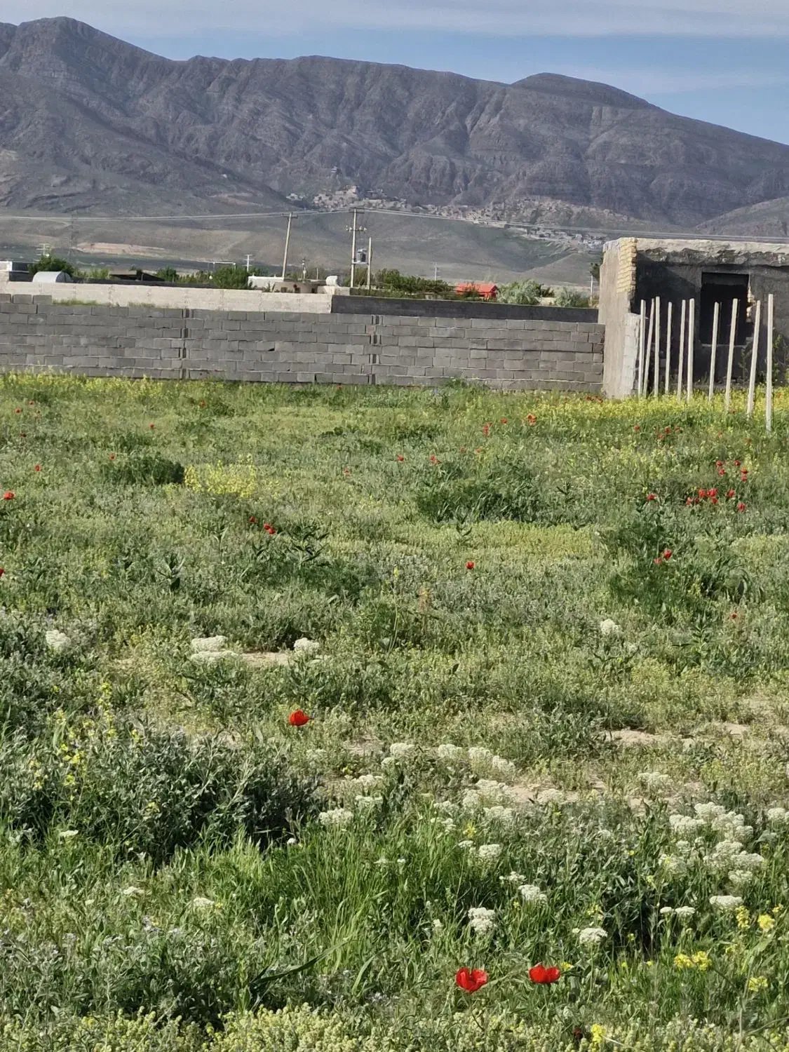 زمین مناسب برای باغ
