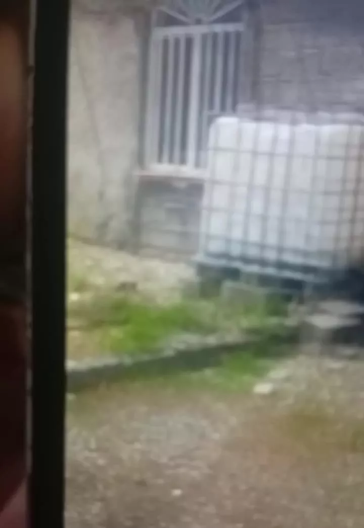 باغی به متراژ ۷۰۰۰ هفت هزار متر