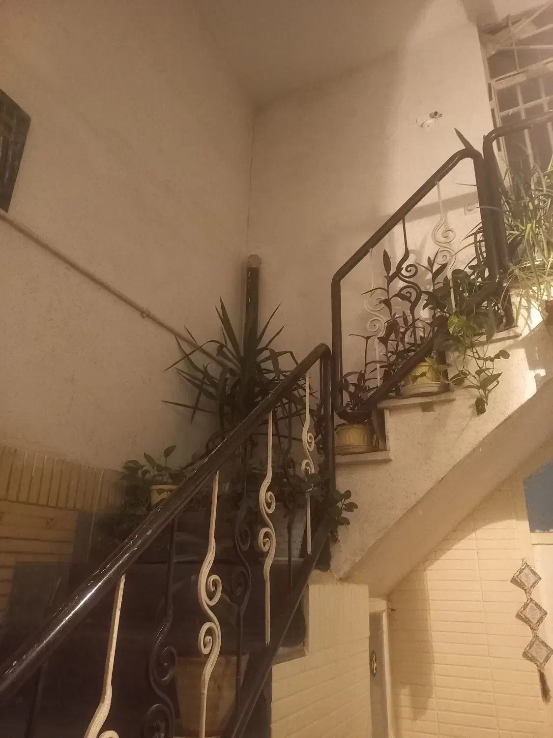 منزل دربست