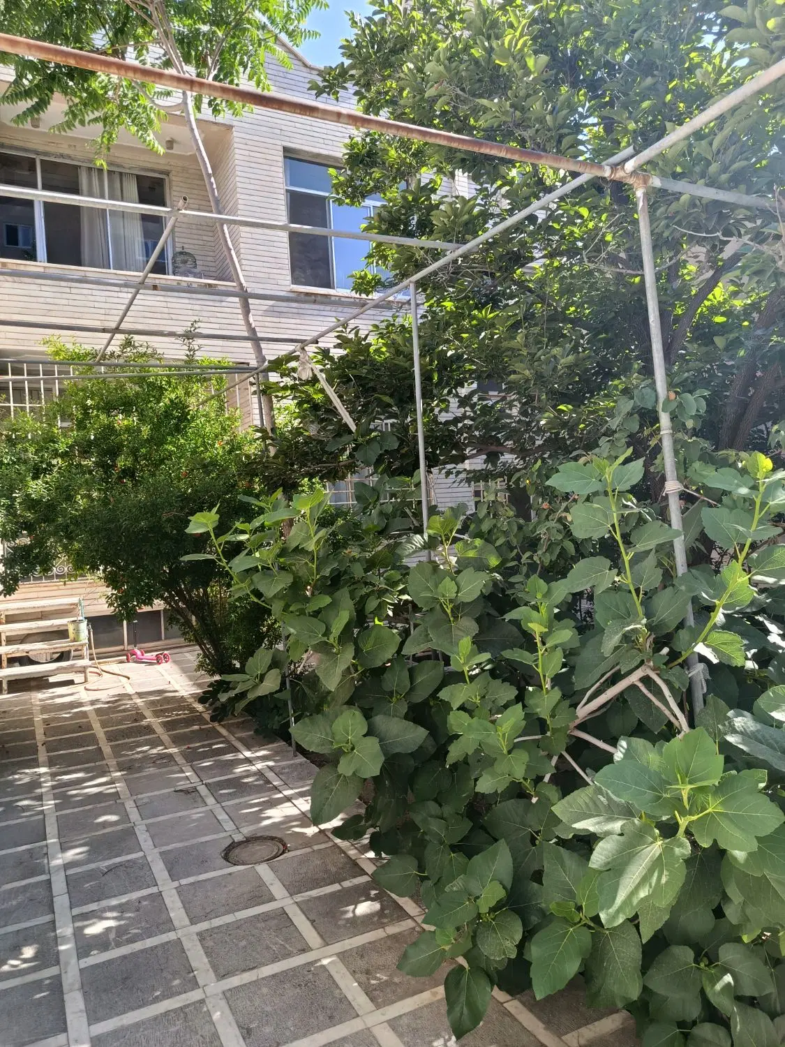 حیاط مسکونی ( خیام ـ قطران ـ لاله زار ) ۳۲۰ متر