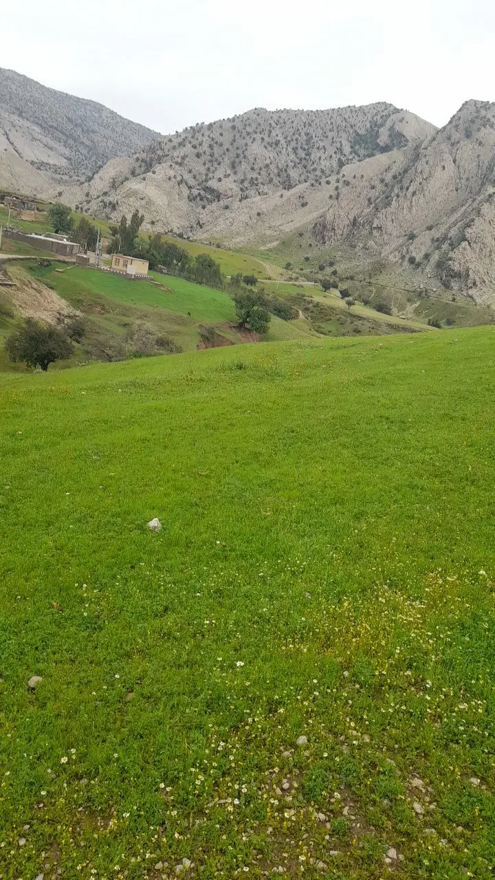 فروش زمین