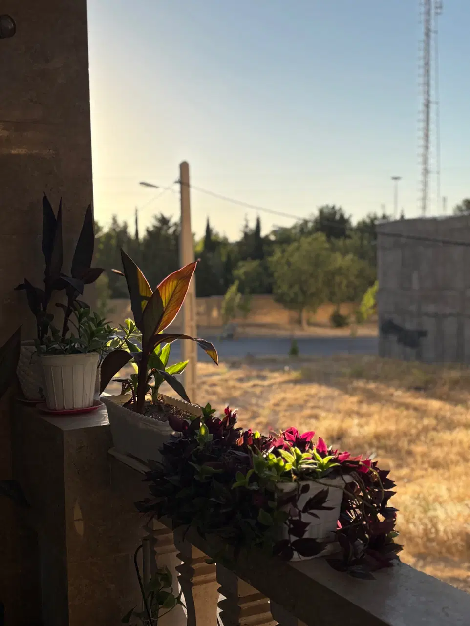 اجاره واحد ۱۷۰متری