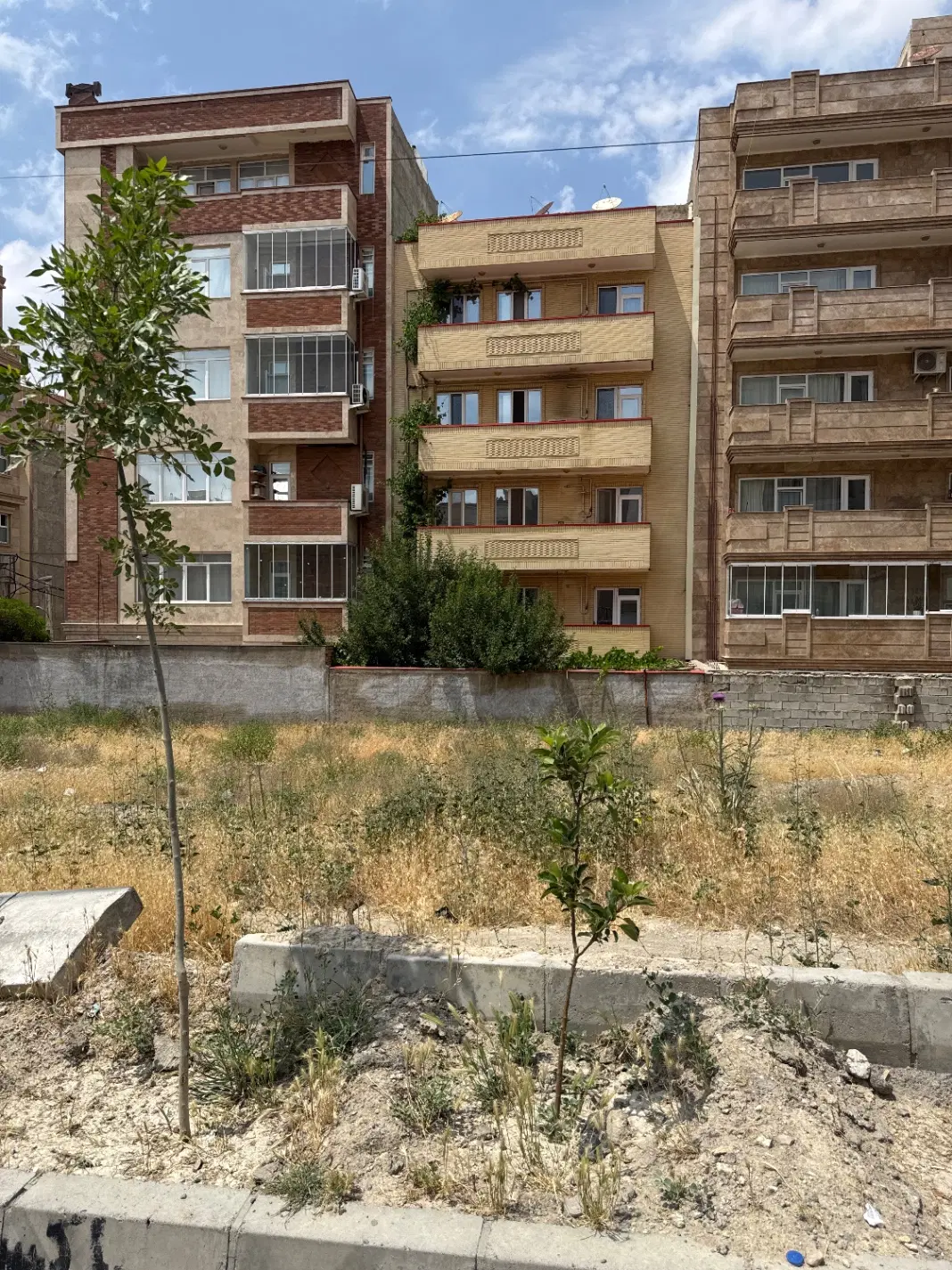 قطعه شمالی بر خیابان دانش نصر