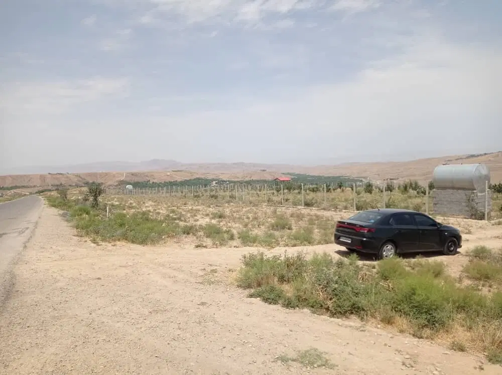 زمین کشاورزی وباغ