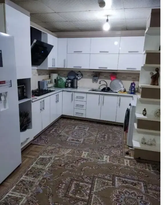 امیراباد باغ منیر