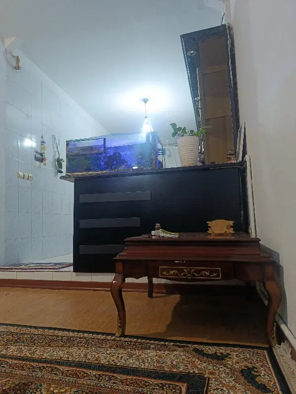 همخونه