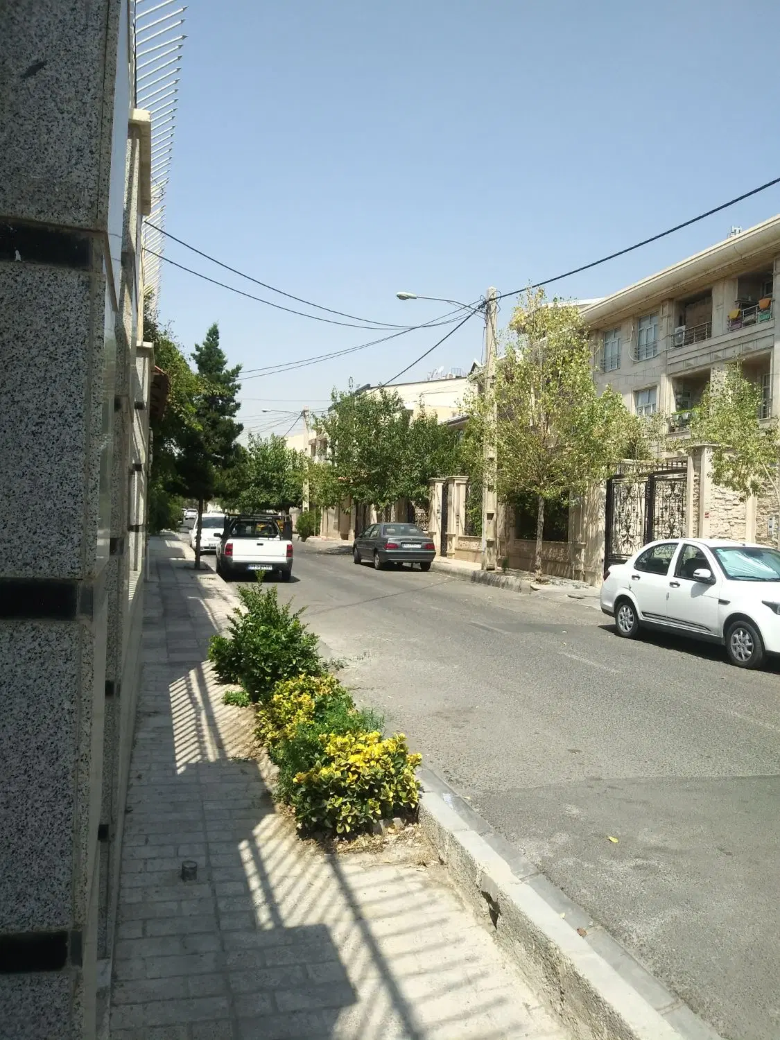 ملک کلنگی 240متری جنوبی منطقه 22جنوب دریاچه چیتگر