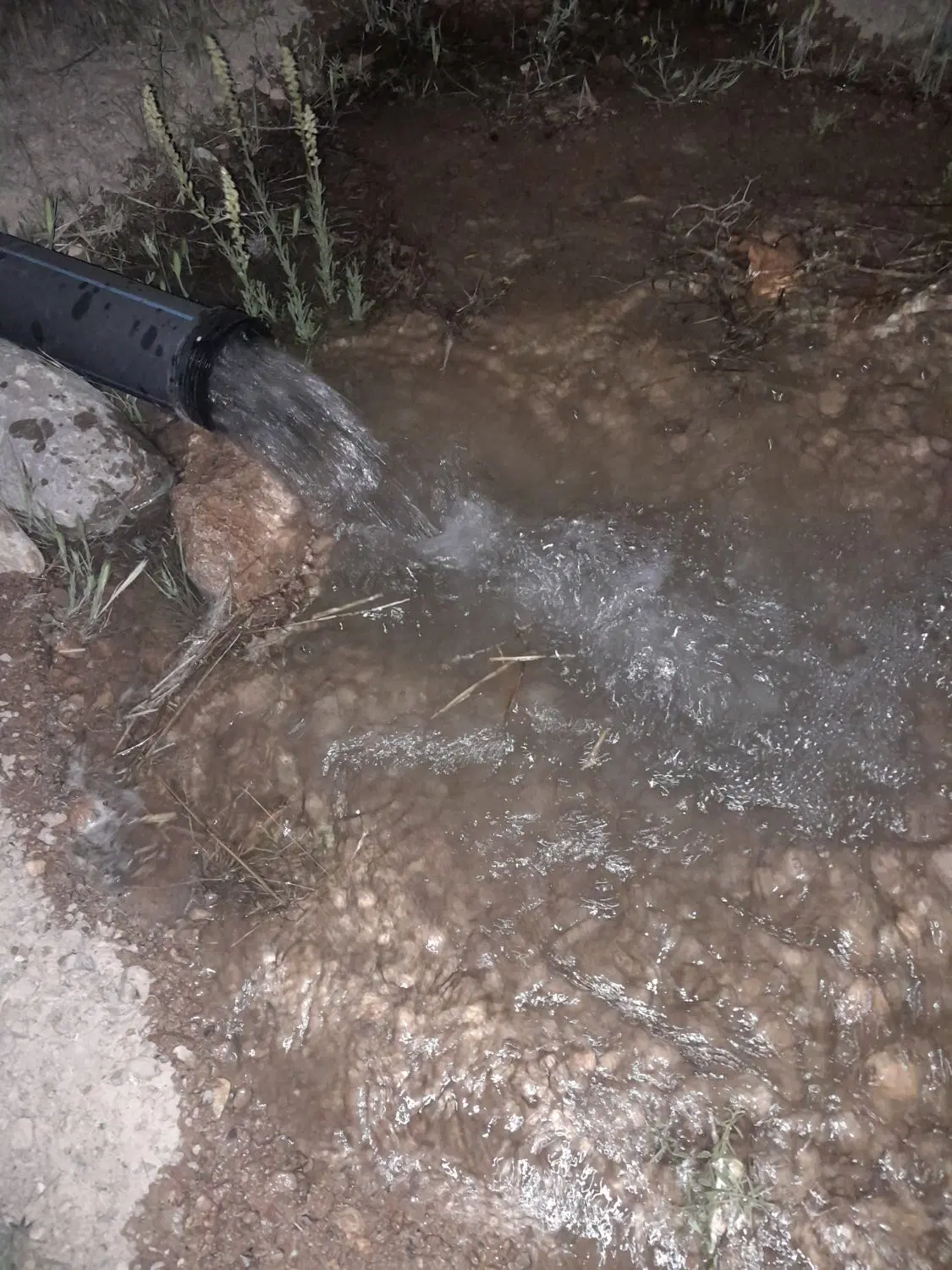 باغی و کشاورزی
