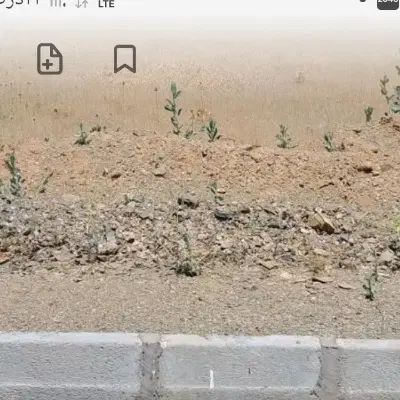 زمین روبروی ترمینال سقز