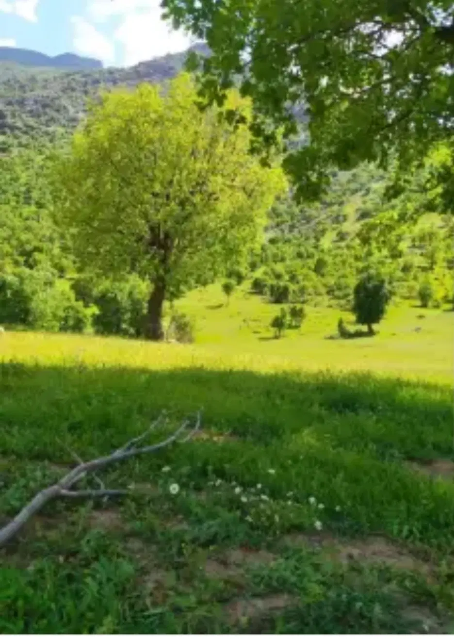 فروش زمین ۴۰۰۰متری