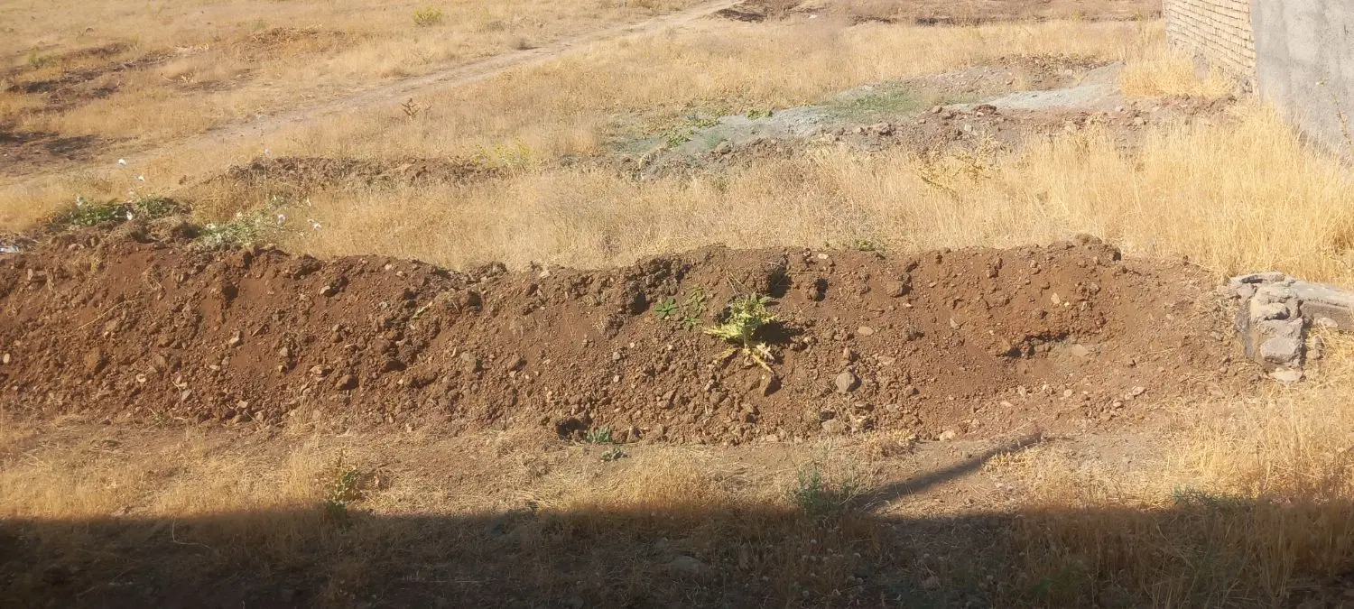 زمین فروشی نایسر