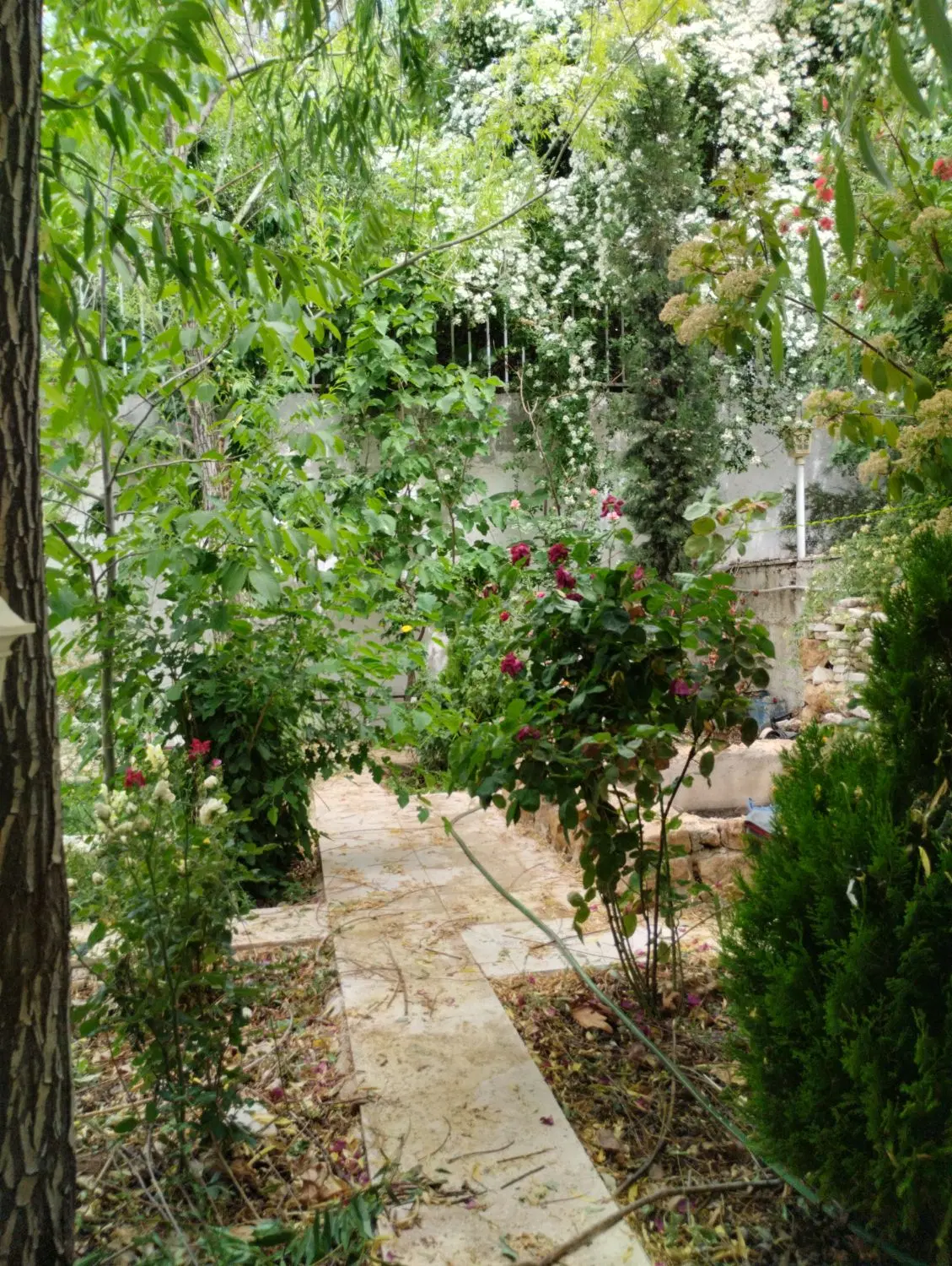 خونه باغ 400متری ویلایی بیست دقیقه ای شیراز