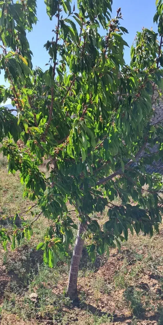 اجاره منزل ۹۰ متری شهداصفری