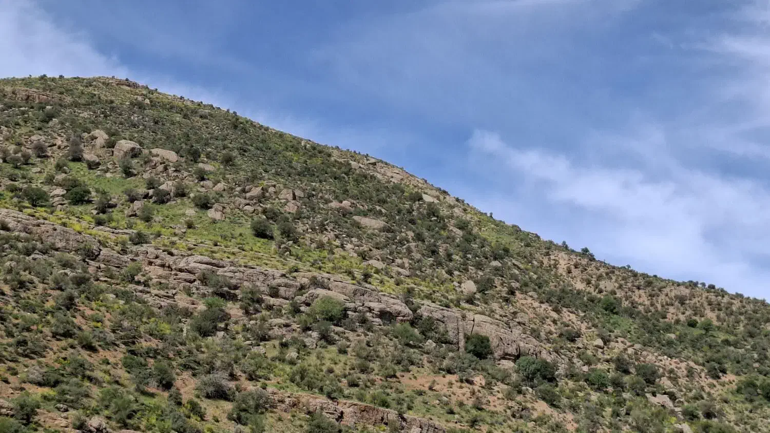 اجاره زمین ییلاق