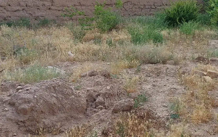 زمین مسکونی