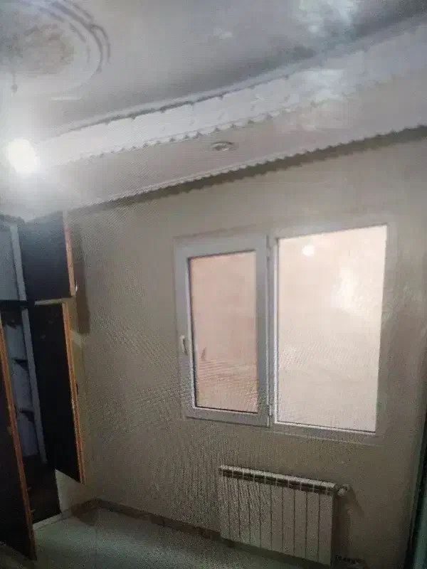 هم خانه خانم